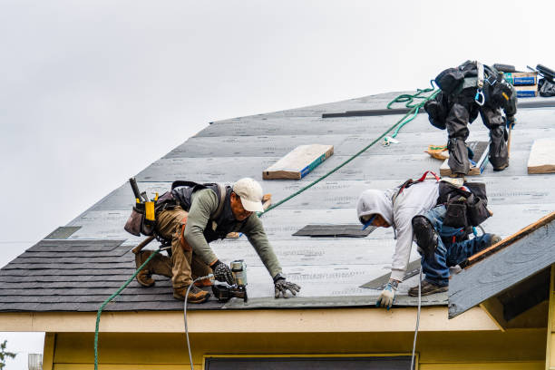Professional Roofing technician working in Saint Hilaire, MN